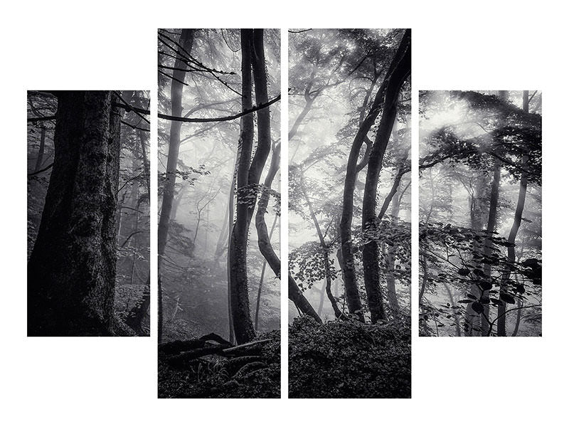 4-piece-canvas-print-mysterious-light