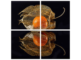 4-piece-canvas-print-physalis