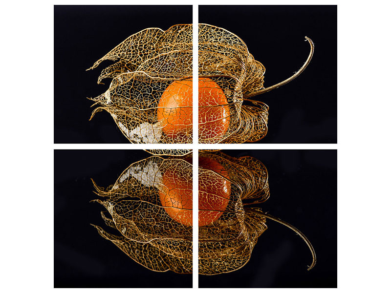 4-piece-canvas-print-physalis