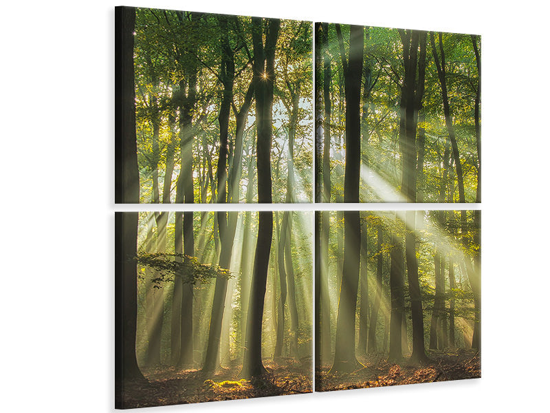 4-piece-canvas-print-sunny-start-to-the-day