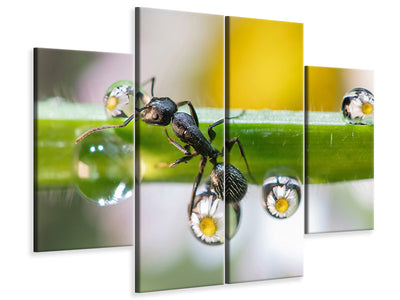 4-piece-canvas-print-the-ant-between-the-drops