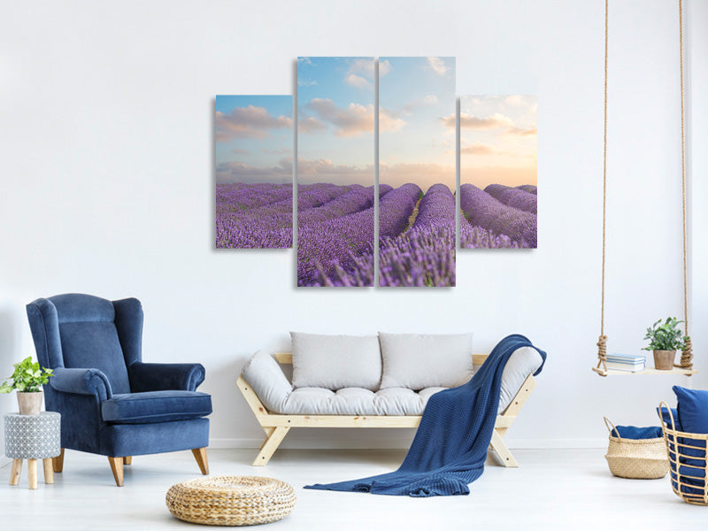 4-piece-canvas-print-the-blooming-lavender-field