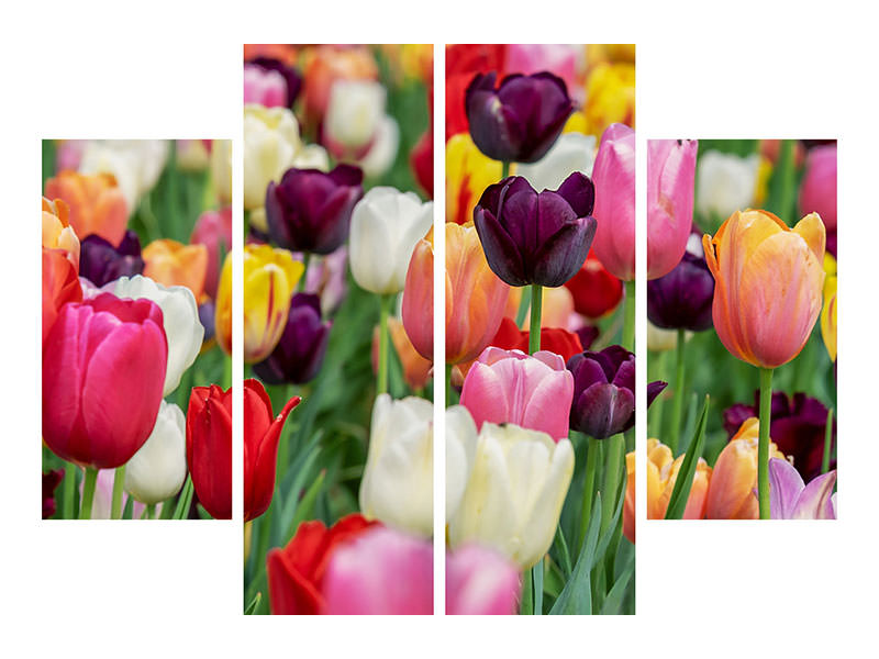 4-piece-canvas-print-the-colors-of-the-tulips