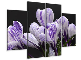 4-piece-canvas-print-the-crocus