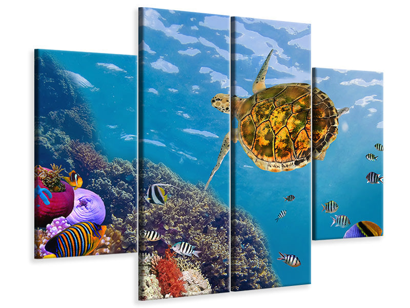 4-piece-canvas-print-the-turtle