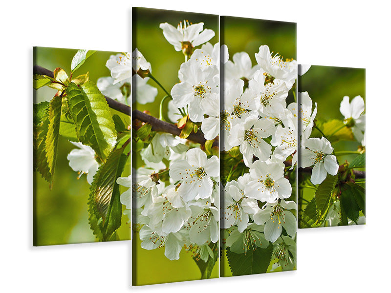 4-piece-canvas-print-white-flowers-in-xl