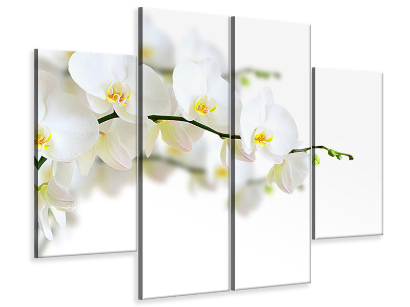 4-piece-canvas-print-white-orchids