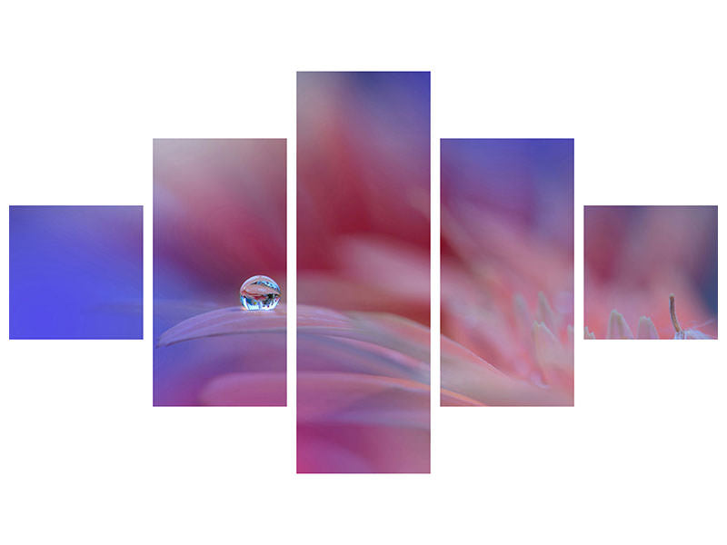 5-piece-canvas-print-colorful-explosion