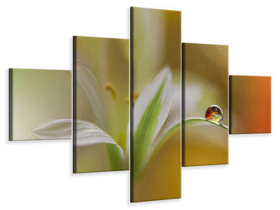 5-piece-canvas-print-sound-of-colors