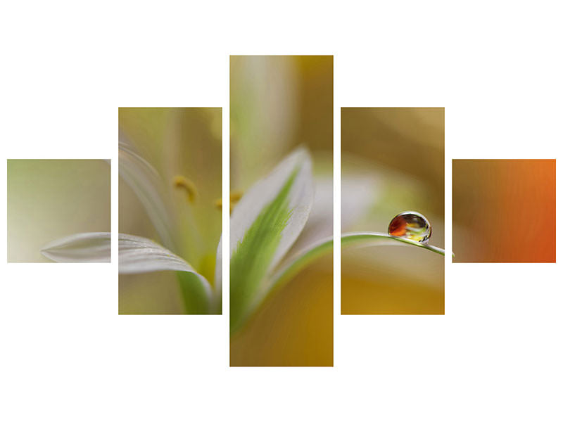 5-piece-canvas-print-sound-of-colors