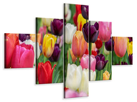 5-piece-canvas-print-the-colors-of-the-tulips