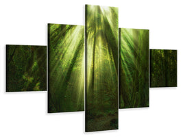 5-piece-canvas-print-the-miracle