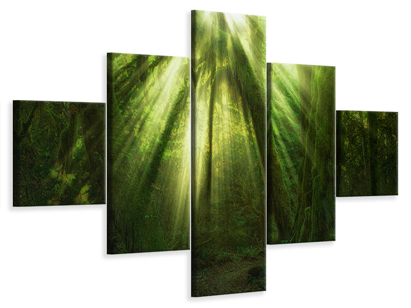 5-piece-canvas-print-the-miracle