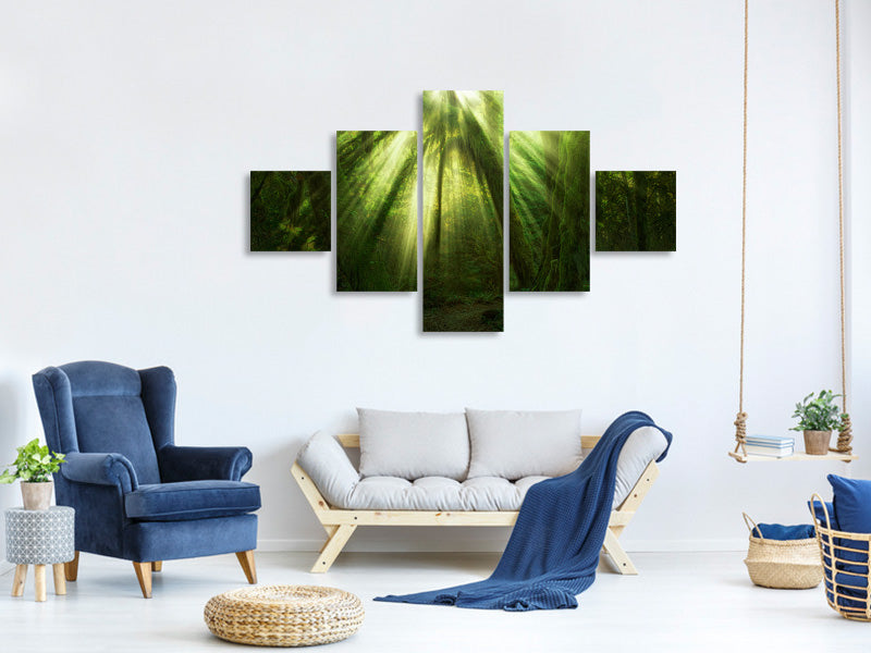 5-piece-canvas-print-the-miracle