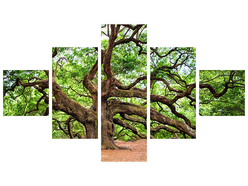 5-piece-canvas-print-the-oak