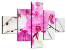 5-piece-canvas-print-the-symbol-of-orchid