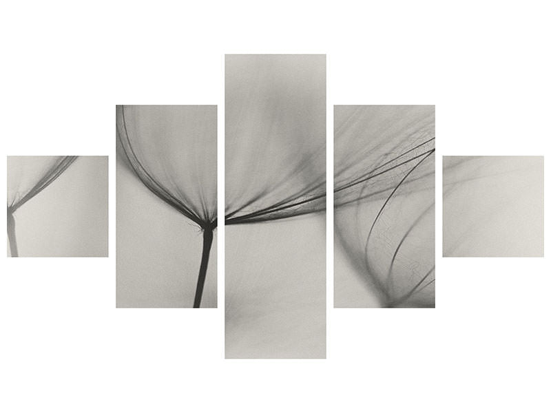 5-piece-canvas-print-tragopogon