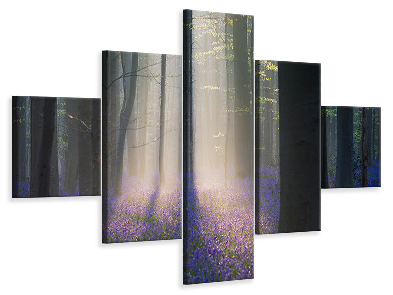 5-piece-canvas-print-velvet-light