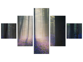 5-piece-canvas-print-velvet-light