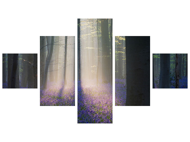 5-piece-canvas-print-velvet-light