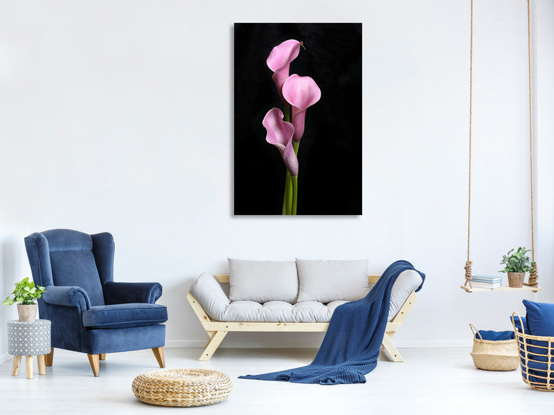 canvas-print-3-purple-callas