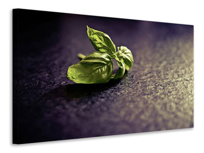 canvas-print-basil-leaves