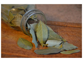 canvas-print-bay-leaves