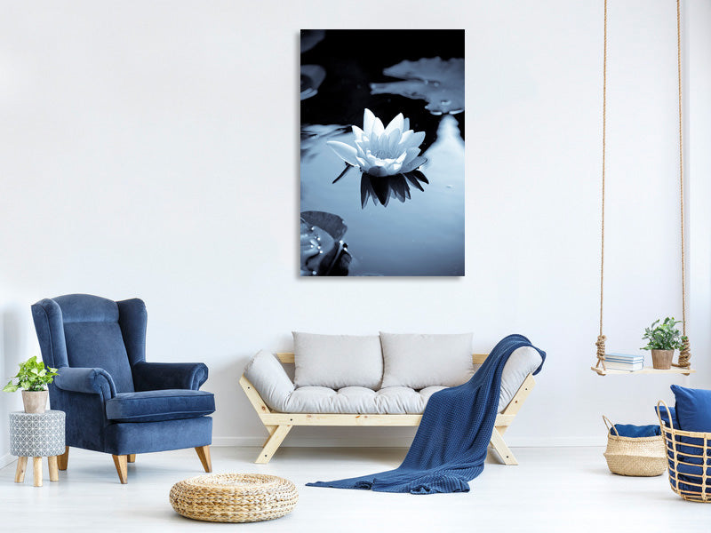 canvas-print-black-and-white-photograph-waterlily