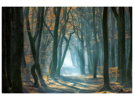 canvas-print-cold-light-x
