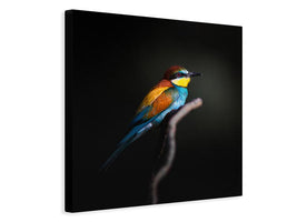 canvas-print-colorful-darkly-x