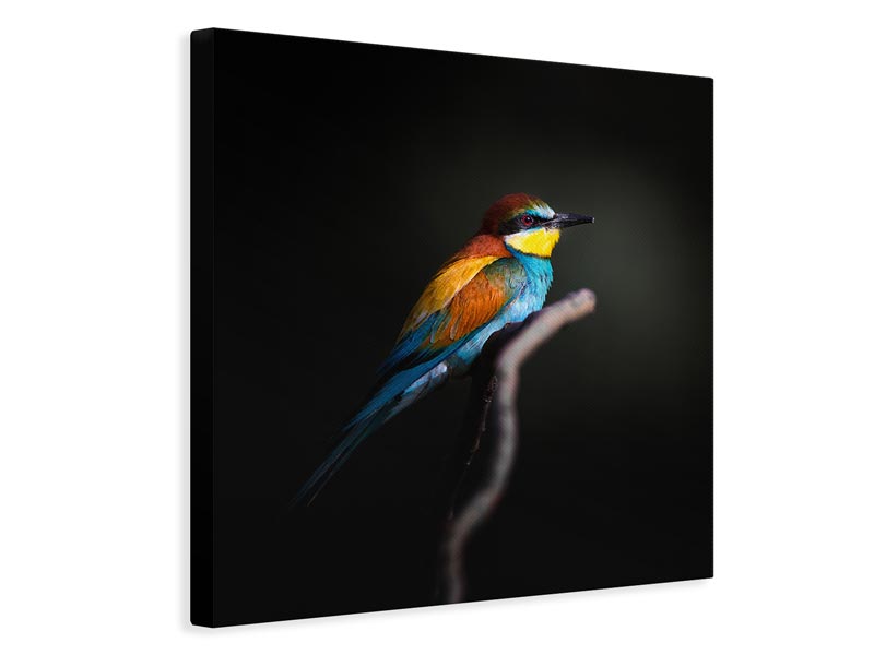 canvas-print-colorful-darkly-x