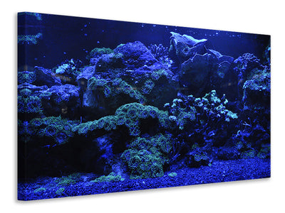 canvas-print-coral-reef-in-blue