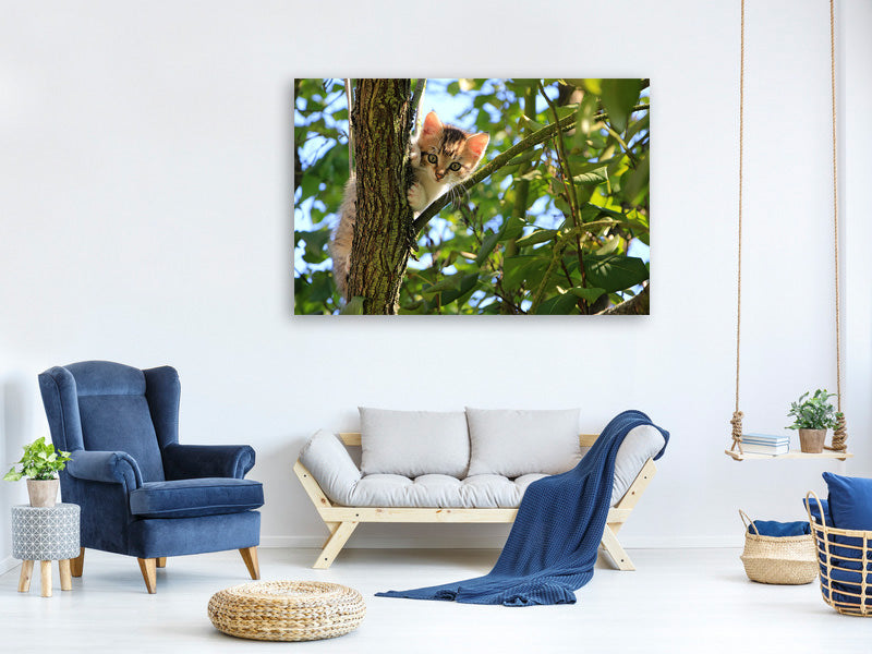 canvas-print-cute-cat-child
