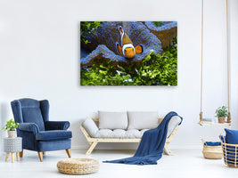 canvas-print-cute-clownfish
