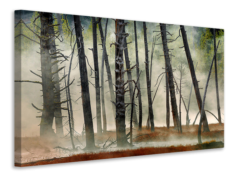 canvas-print-dead-wood