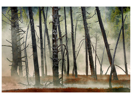 canvas-print-dead-wood