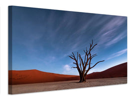 canvas-print-deadvlei-at-dusk-x