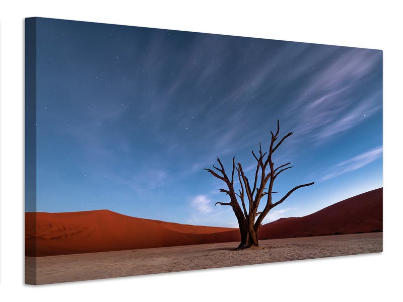 canvas-print-deadvlei-at-dusk-x