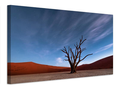 canvas-print-deadvlei-at-dusk-x