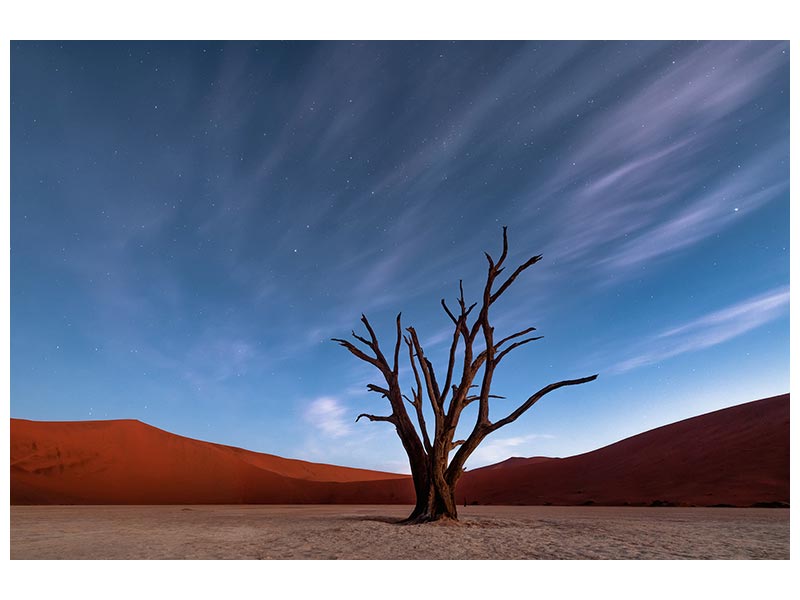 canvas-print-deadvlei-at-dusk-x
