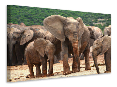 canvas-print-elephant-herd-in-africa