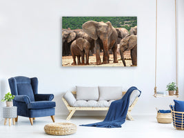 canvas-print-elephant-herd-in-africa