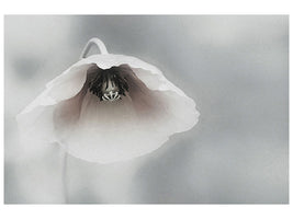 canvas-print-ephemeral-beauty-ii