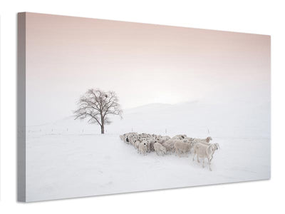 canvas-print-flock-looking-for-food-x