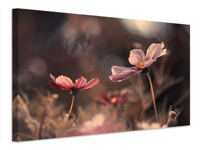 canvas-print-flowers-of-innocence-x