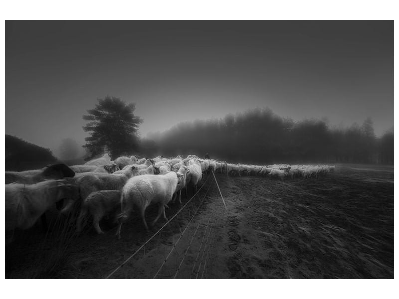 canvas-print-foggy-memory-of-the-past-ii