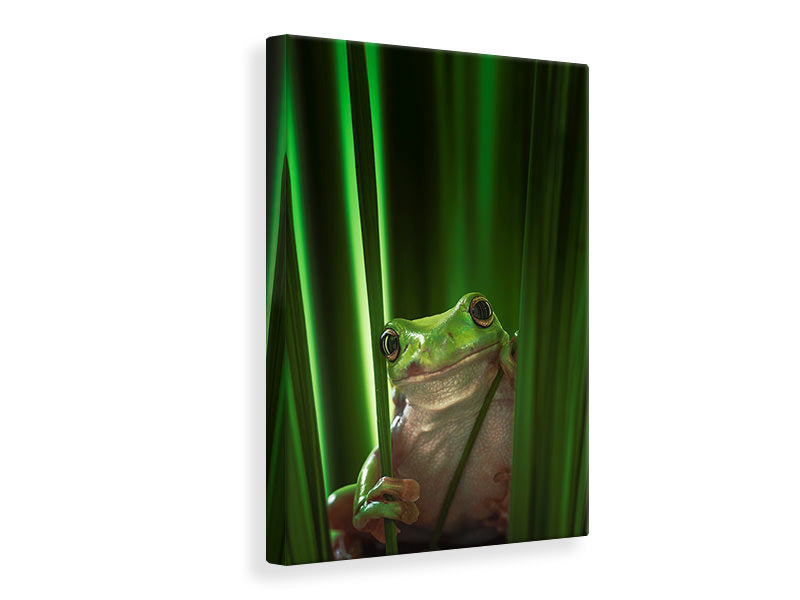 canvas-print-green-frog