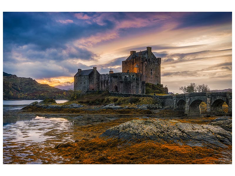 canvas-print-halloween-colours-x