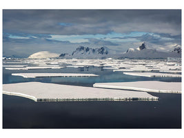 canvas-print-ice-row-x