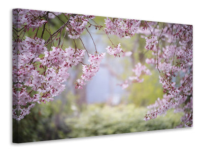 canvas-print-in-the-beautiful-spring